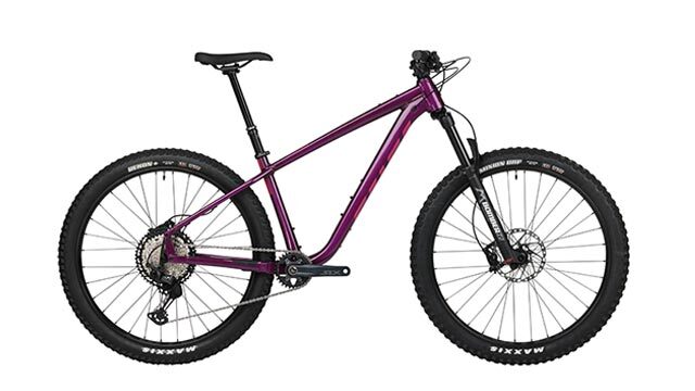 Salsa hardtail deals