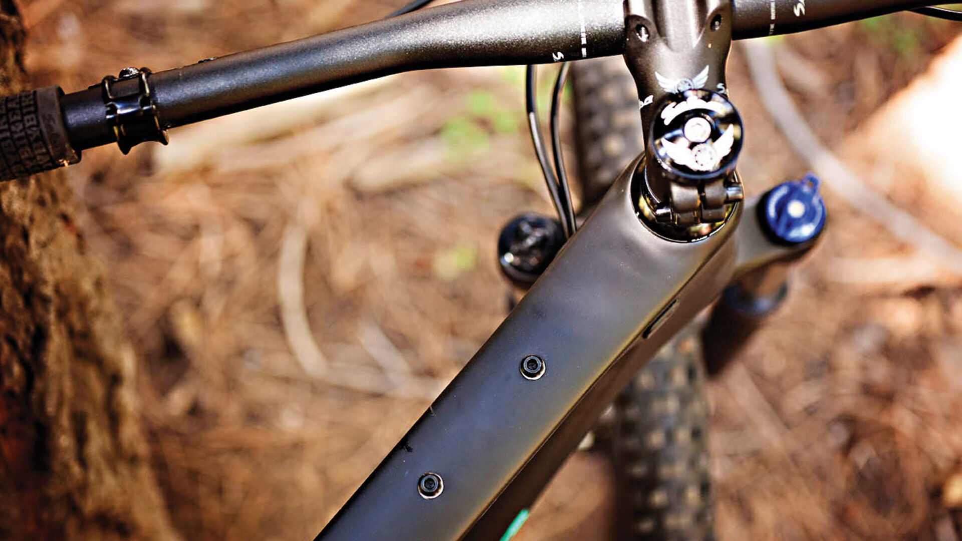 Woodsmoke 29 Frameset | Salsa Cycles