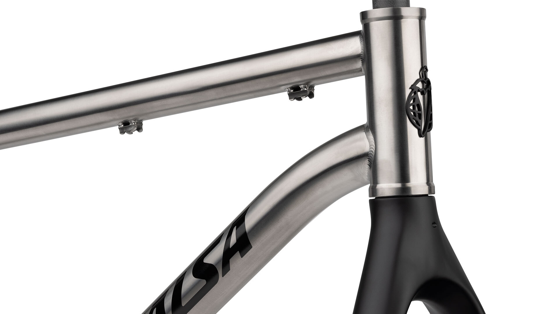 Fargo Ti Frameset | Salsa Cycles