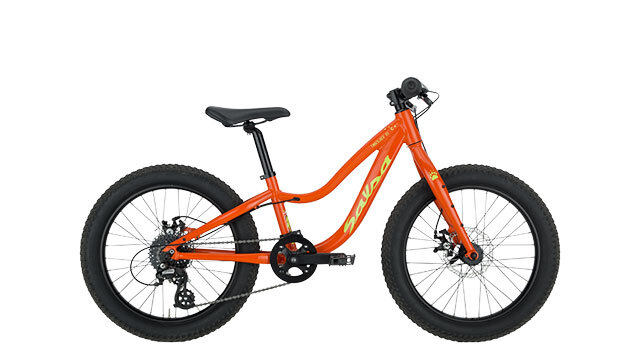 Timberjack 20 Salsa Cycles