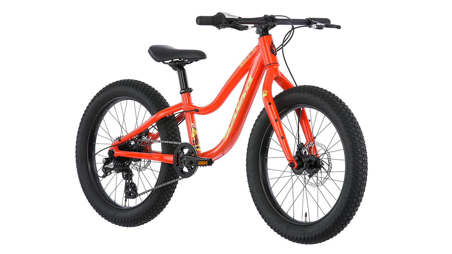 salsa 20 inch bike