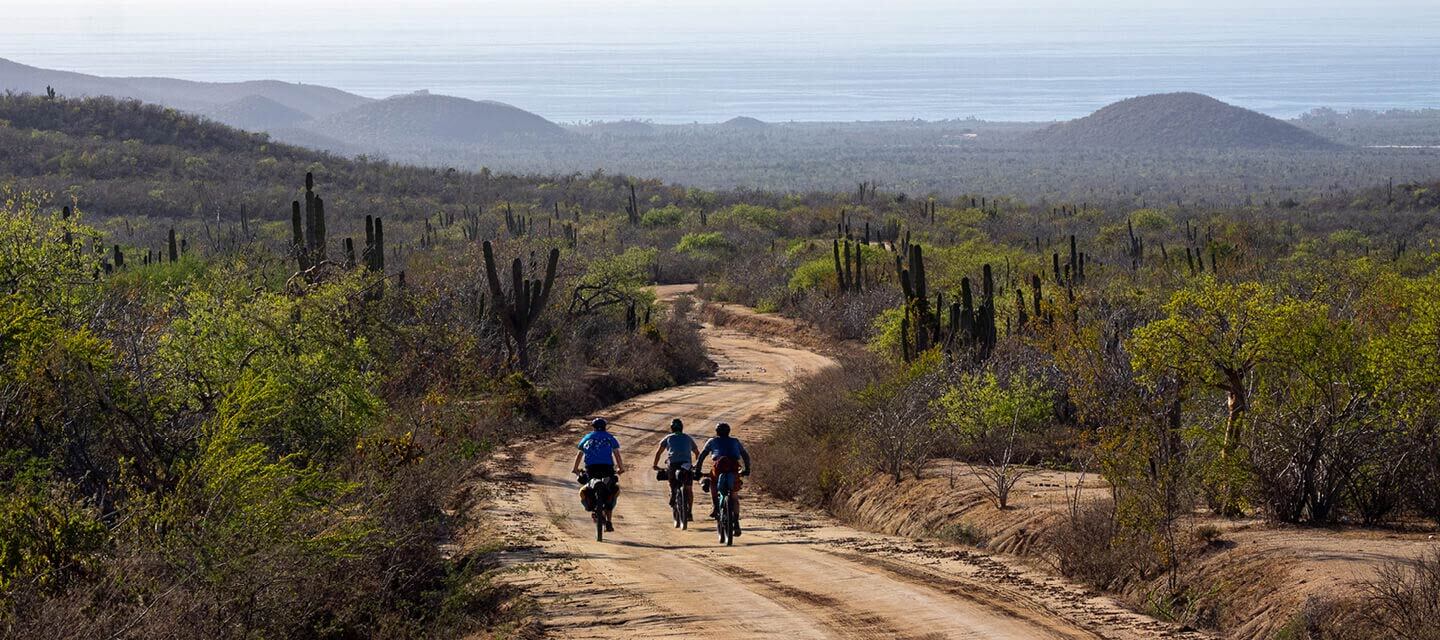 Three cyclists riding togther on unpaved road towards ocean on sunny day