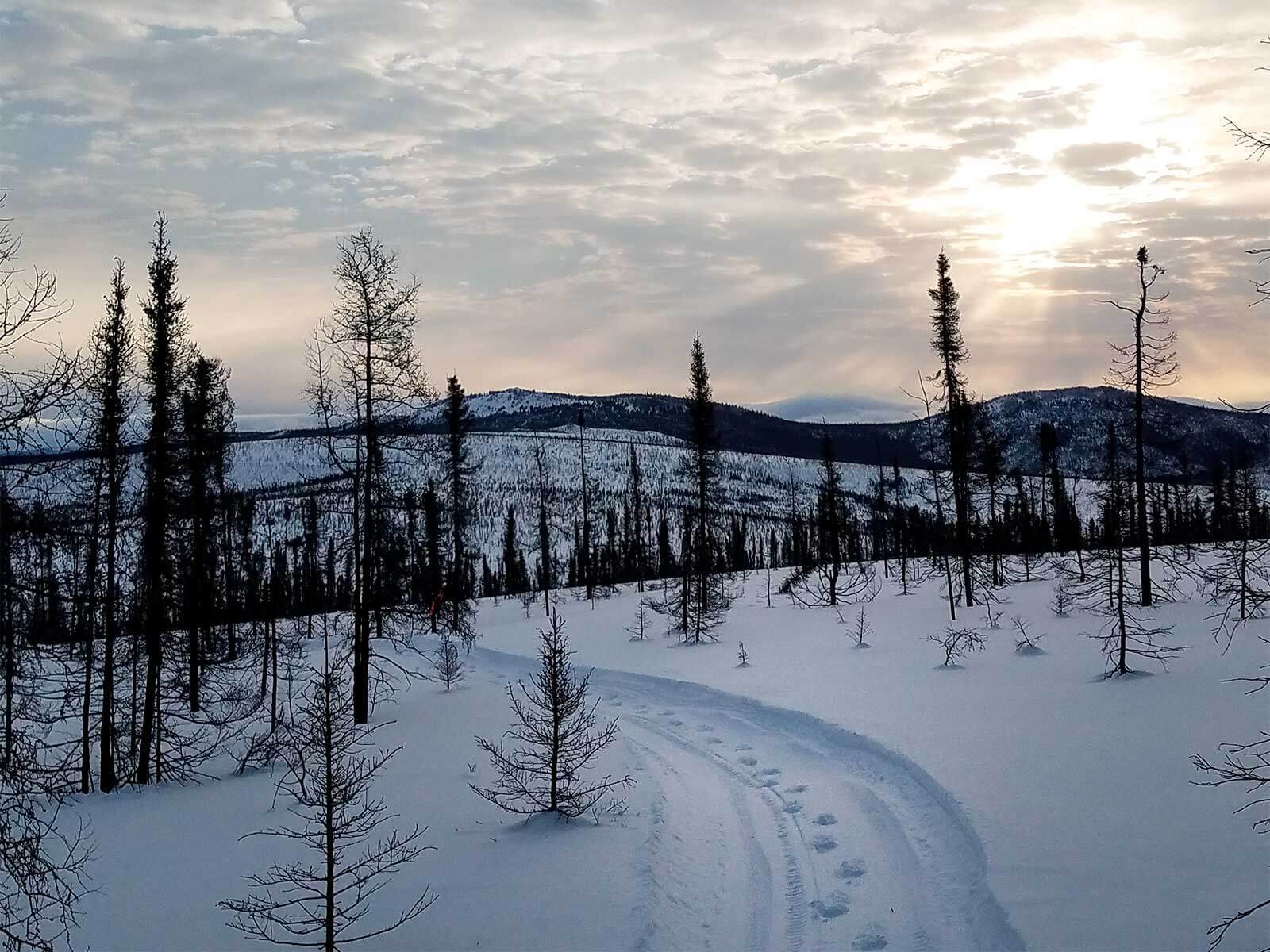 Snow covered trail with snowmobile and foot tracks, in the rolling hills with evergreen trees on them