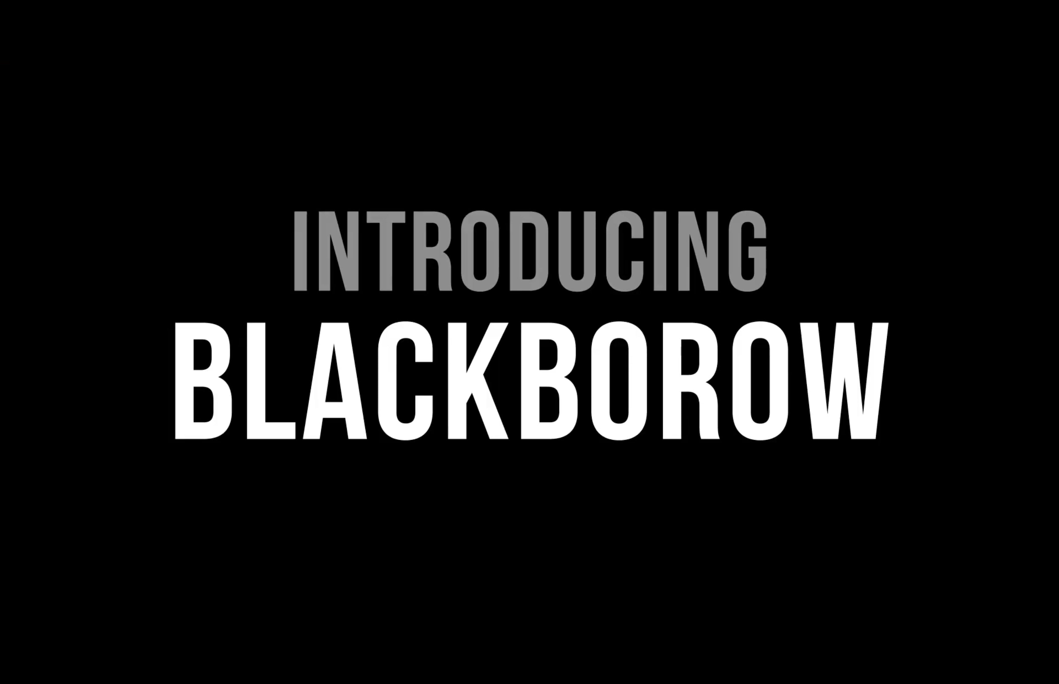 Salsa Cycles Blackborow Fat Bike Overview