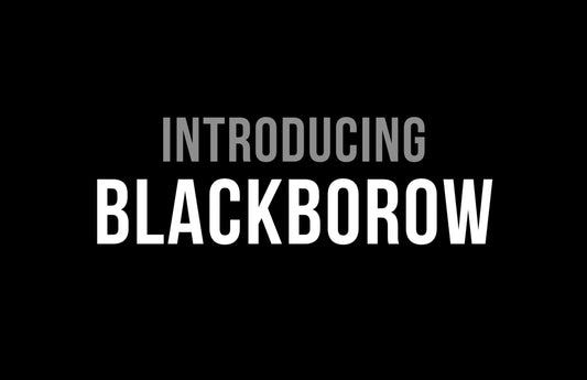 Salsa Cycles Blackborow Fat Bike Overview