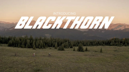 INTRODUCING BLACKTHORN