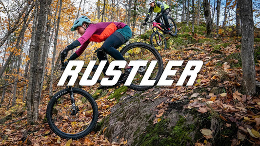 Introducing Rustler