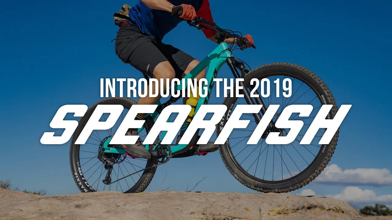 Introducing the 2019 Spearfish