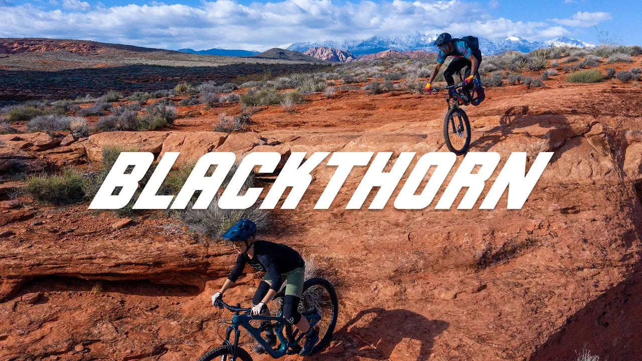 Salsa Blackthorn All-Mountain Bike