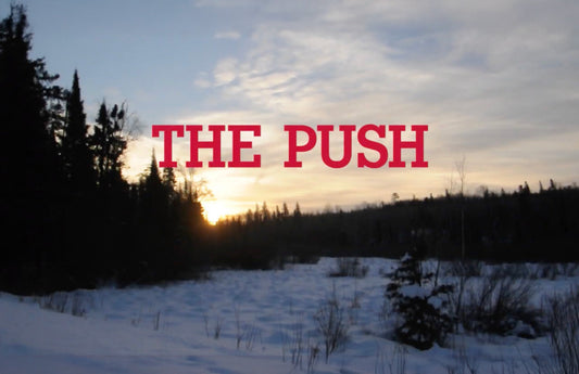 A snowy landscape at dusk with pines in the background. The title "The Push" is shown in the center.