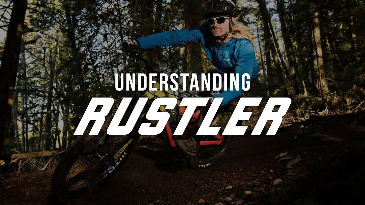 Understanding Rustler