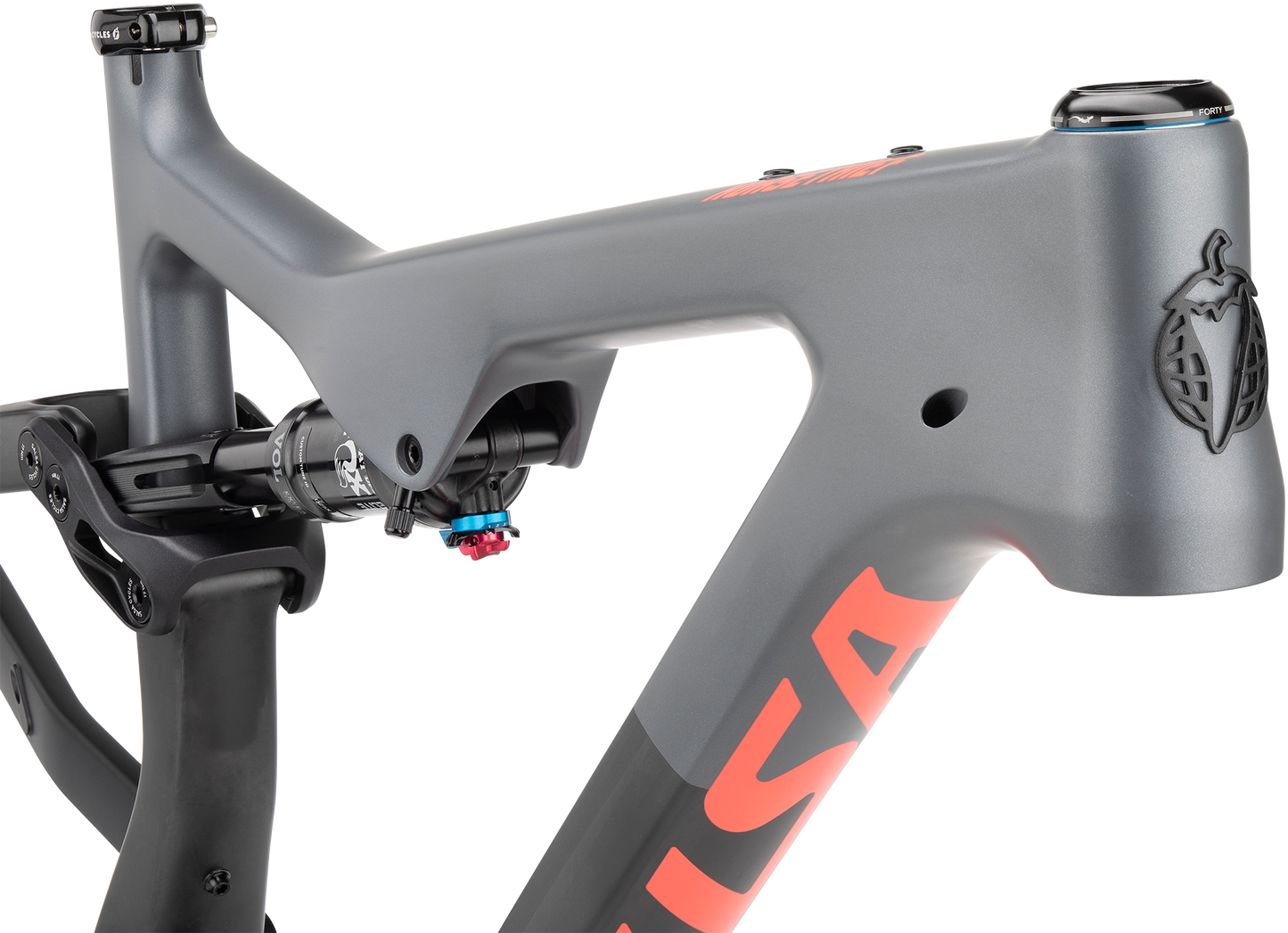 Salsa Horsethief Carbon Frame focus on headtube