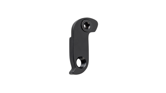 Salsa Confluence derailleur hanger black