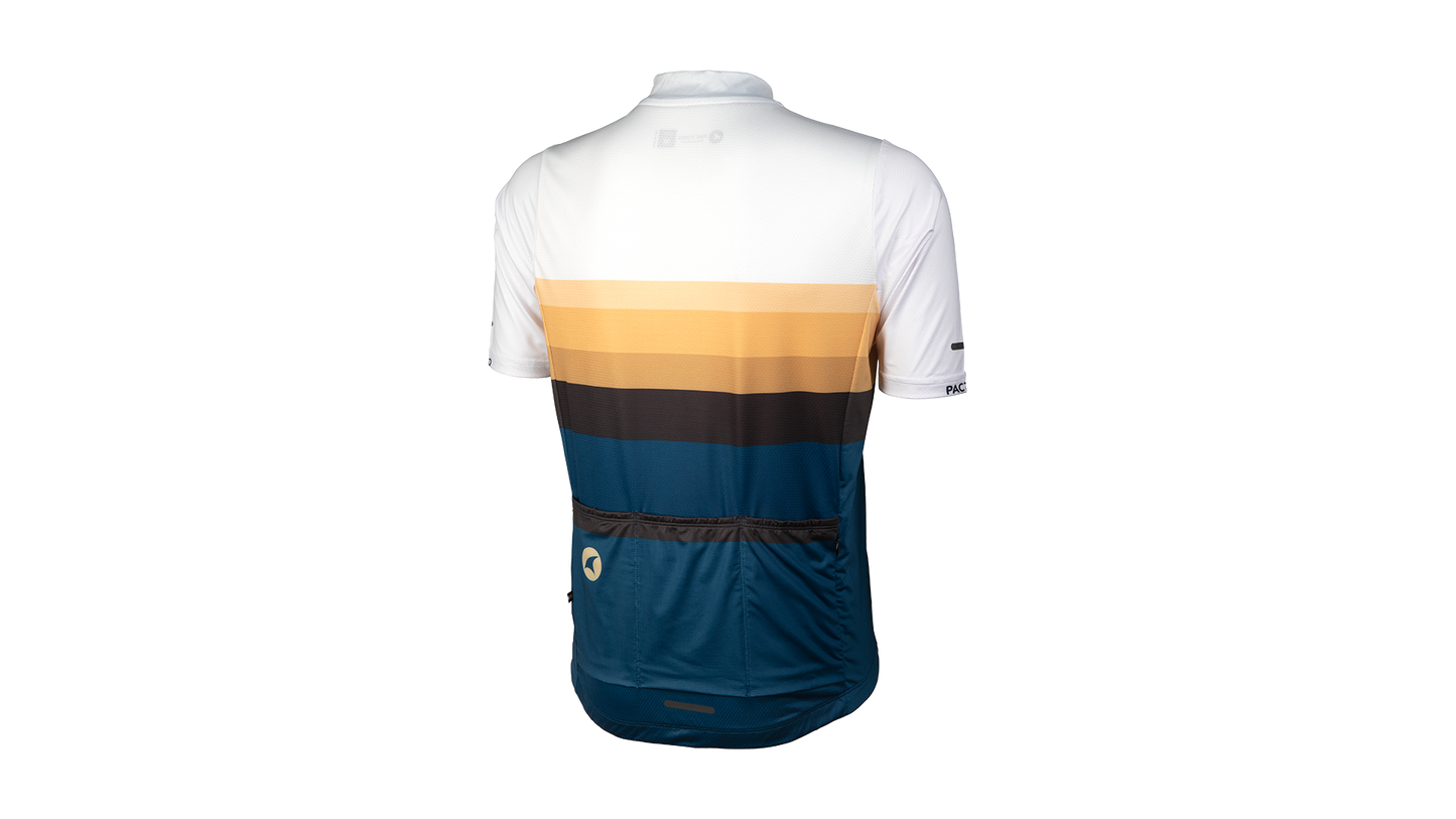 Salsa Latitude Jersey - Men's back view