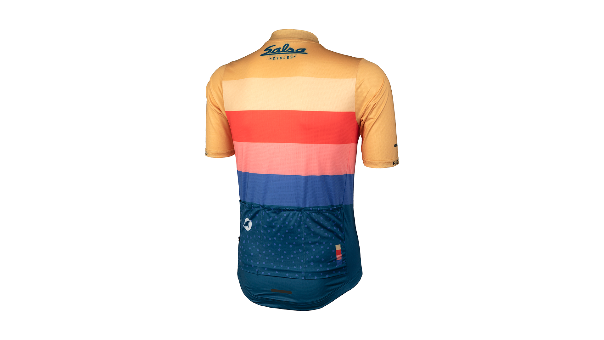 Salsa Team Polytone Jersey - Men's back view