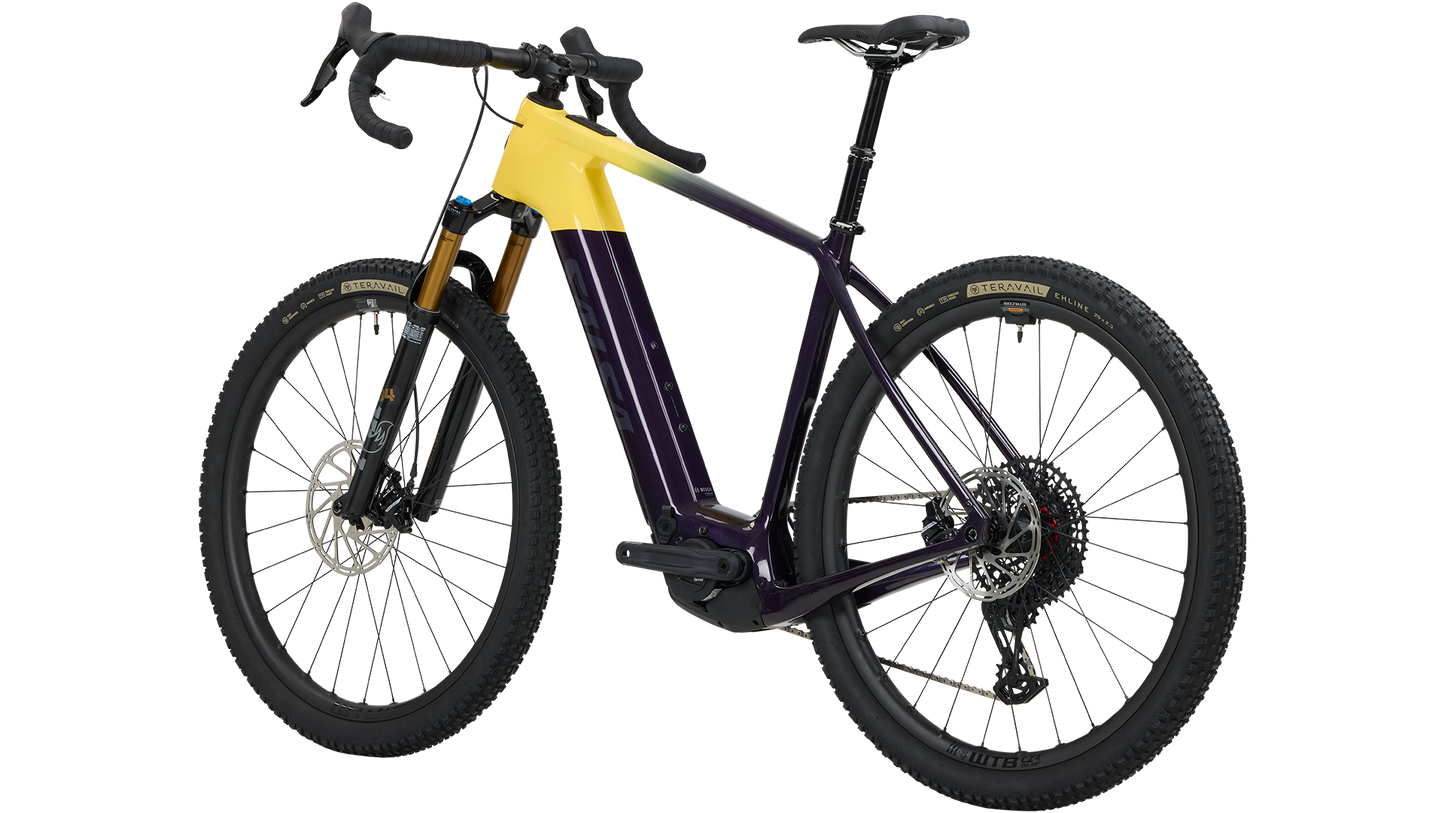 Salsa Tributary C Force XO AXS Sus Ebike rear three-quarter view