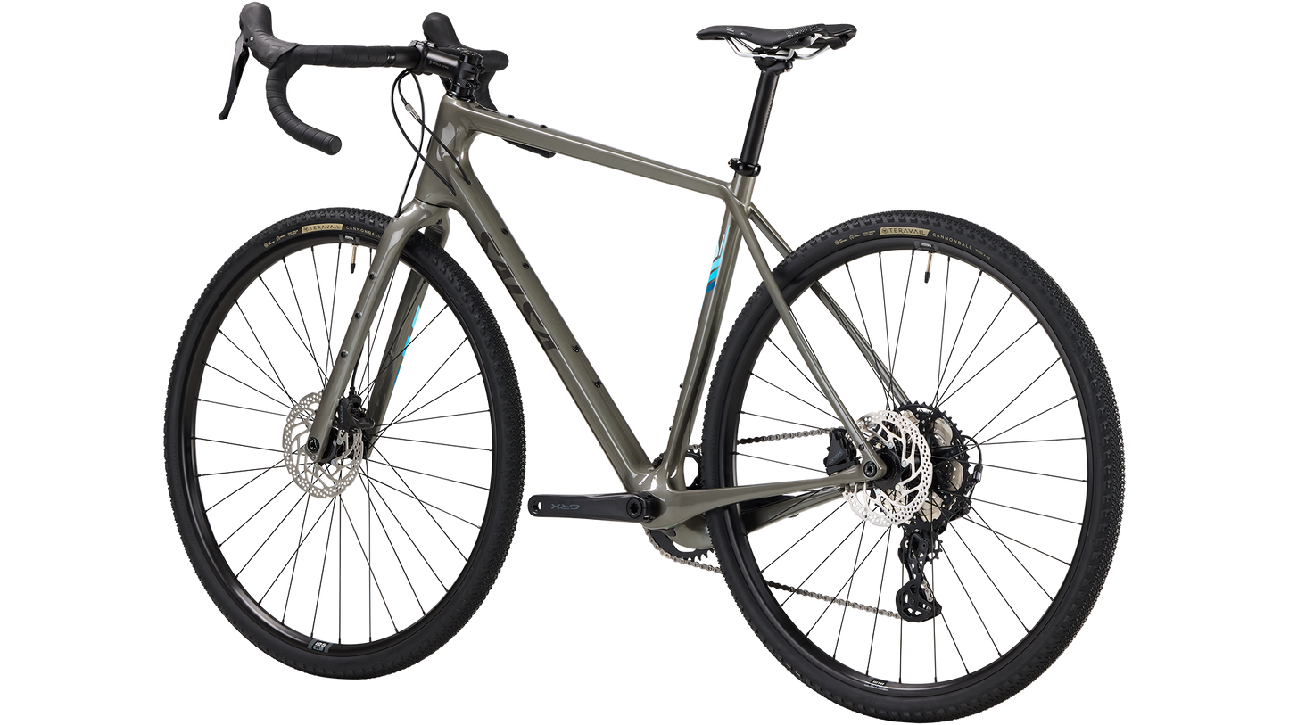 Salsa Warbird GRX 610 bike in gray color rear three quarter view