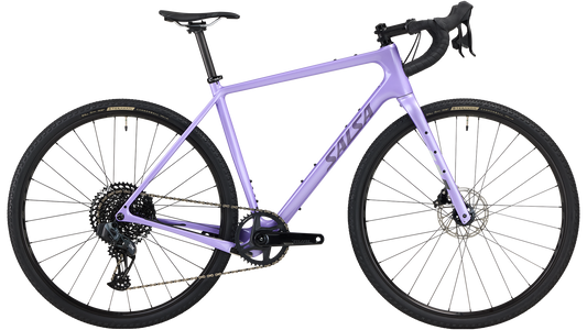 Salsa Warbird Rival GX AXS bike in purple side view